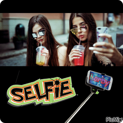 Selfie !!!! - 免费动画 GIF
