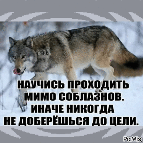 волк - Zdarma animovaný GIF