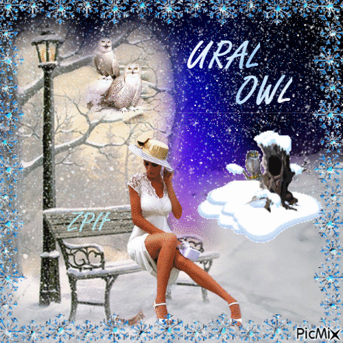 Ural Owl - GIF animado gratis