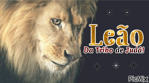 Leão da Tribo de Judá - Darmowy animowany GIF