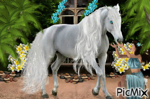 White Stallion! - GIF animate gratis