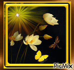 Yellow Flowers! - Darmowy animowany GIF