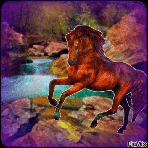 Cheval - Free animated GIF