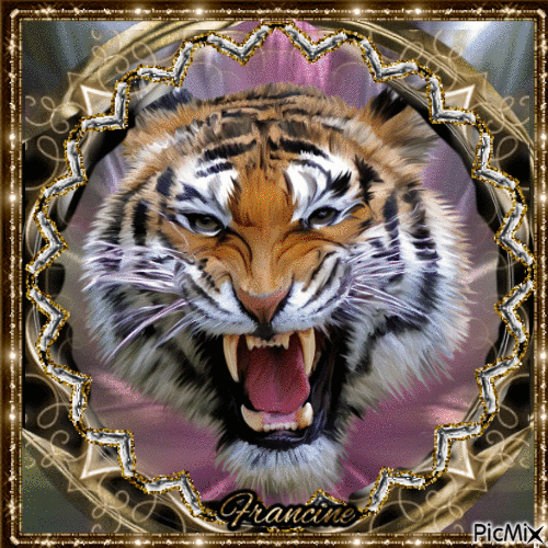 Le Tigre - GIF animé gratuit