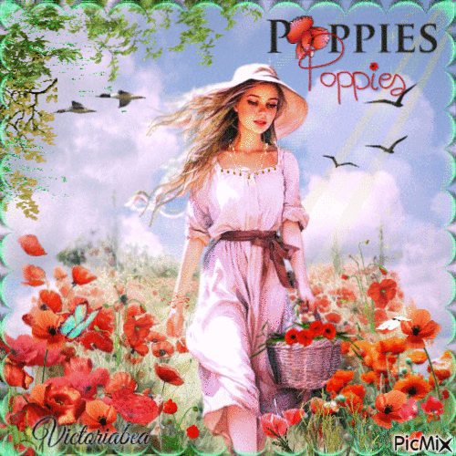 Poppies - GIF เคลื่อนไหวฟรี