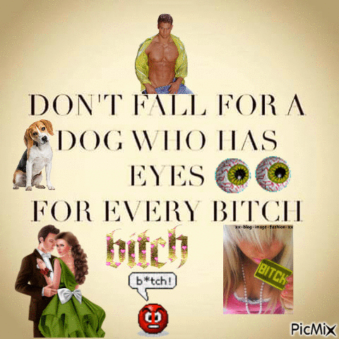 Don't fall for every dog - Бесплатни анимирани ГИФ