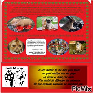 Animaux défense et protection - zdarma png