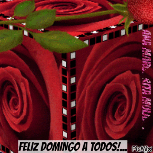 FELIZ DOMINGO A TODOS - Безплатен анимиран GIF