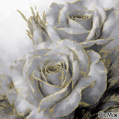 rosa linda - 無料のアニメーション GIF