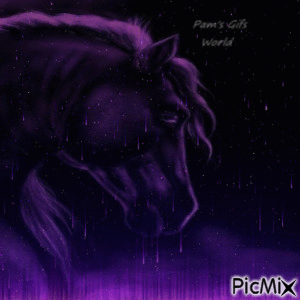 Purple Stallion - GIF animé gratuit