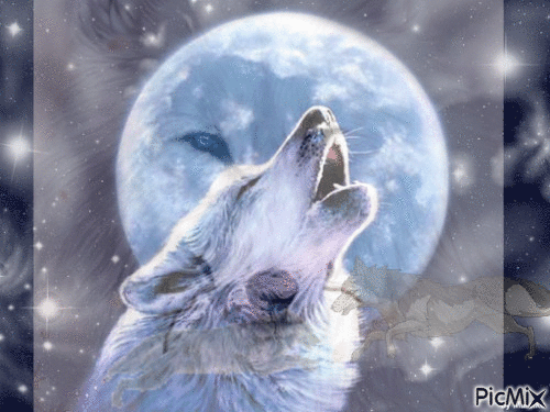 wolfs - GIF animado grátis