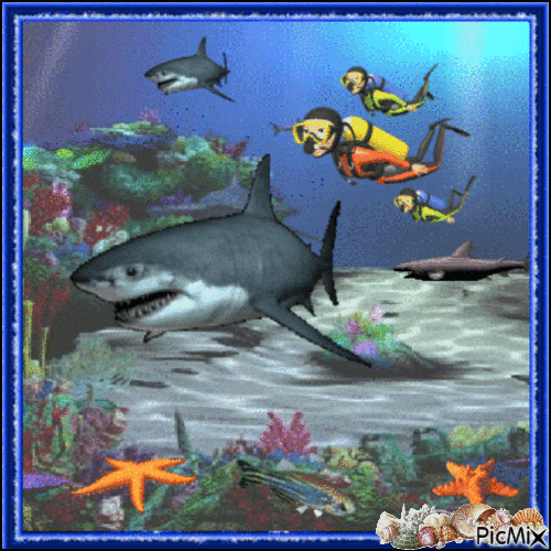 Shark - Zdarma animovaný GIF