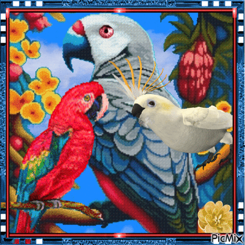 Попугаи - Zdarma animovaný GIF