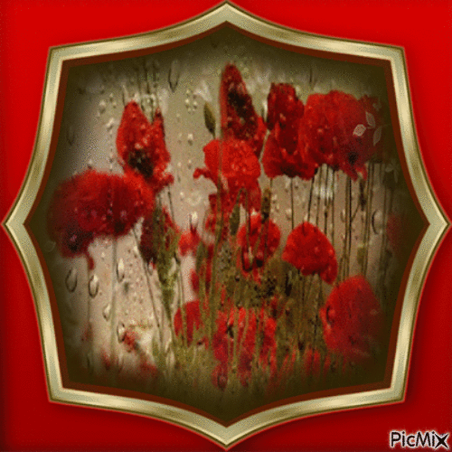 Blumen - flowers - Free animated GIF