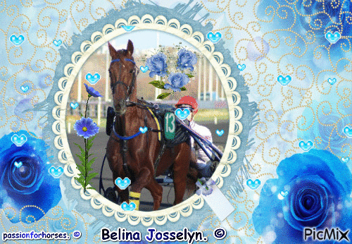 La championne Belina Josselyn. © - GIF animado gratis
