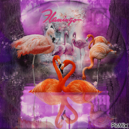 flamingo - GIF animasi gratis