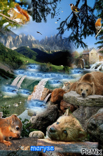 nature et animaux - Animovaný GIF zadarmo