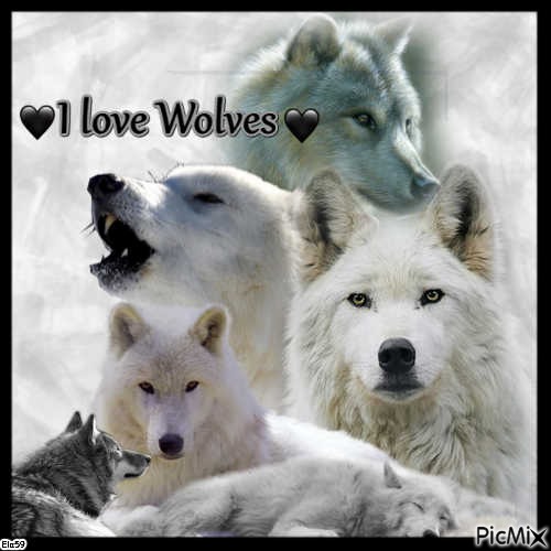 I love Wolves - png gratuito