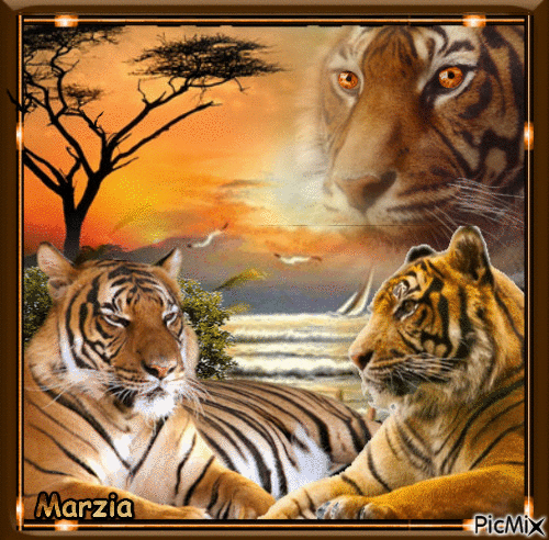 Les tigres - GIF animado grátis