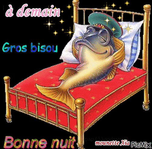 bonne nuit - Darmowy animowany GIF