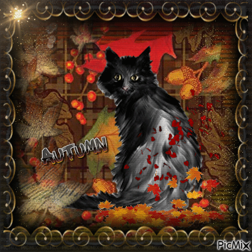 Autumn Cat - Nemokamas animacinis gif