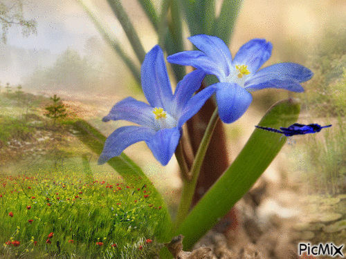 весна - Ücretsiz animasyonlu GIF