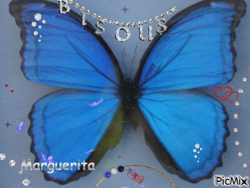 Papillon bleu - GIF animado gratis