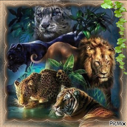 Africa Animals - bezmaksas png