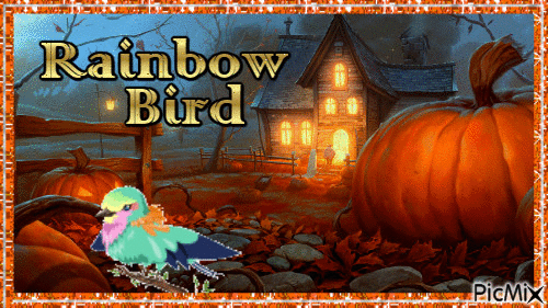 Rainbow Bird - Darmowy animowany GIF