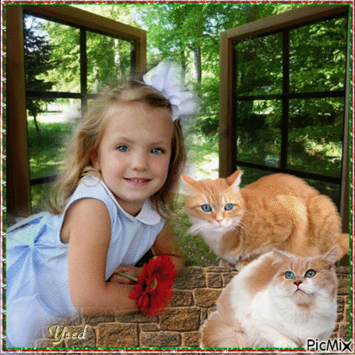 La niña en la ventana con los gatos - GIF animado gratis