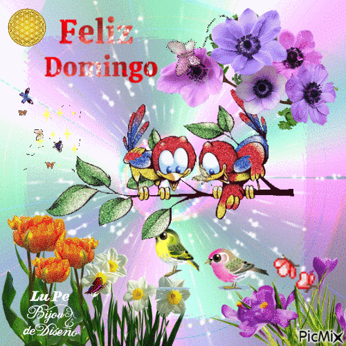 Feliz Domingo  mariposas y pajaritos - GIF animé gratuit