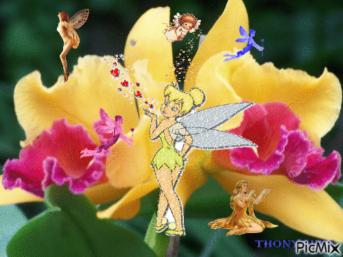 la flor encantada - Безплатен анимиран GIF