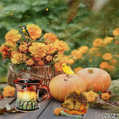 Autumn day - 無料のアニメーション GIF