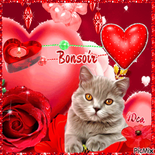 Bonsoir les chatons - Безплатен анимиран GIF