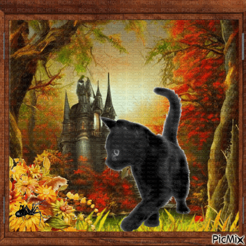 Chat noir d'automne. - GIF animado grátis