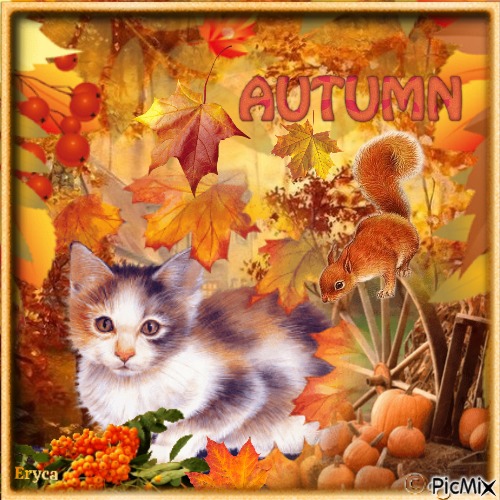 Chaton en automne - 免费PNG