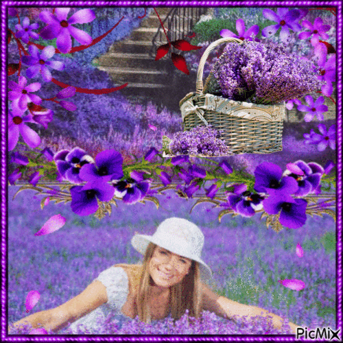 Purple Lavender Garden - Animovaný GIF zadarmo