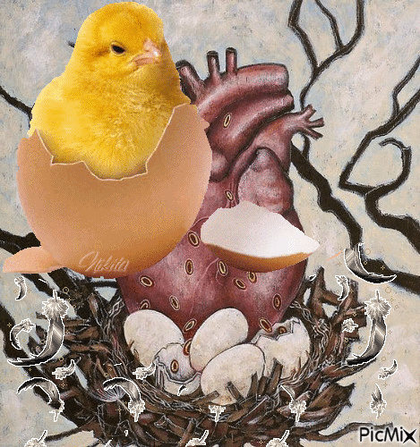 Corazón en el nido - Nemokamas animacinis gif
