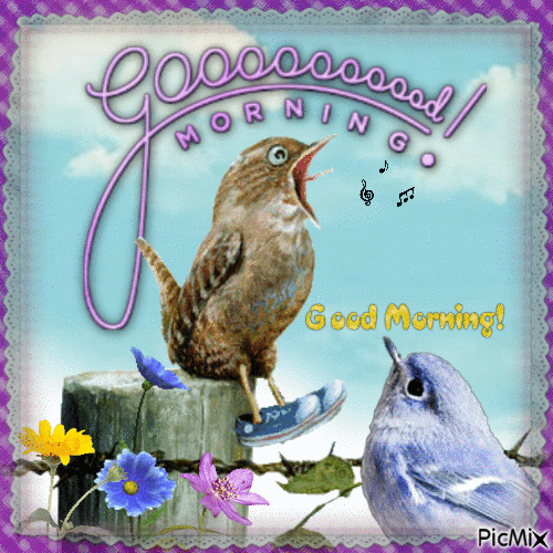 Good morning, birds - Besplatni animirani GIF