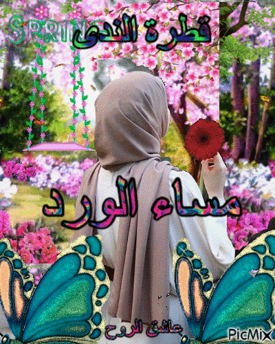 عيد ميلاد شمس - 免费动画 GIF