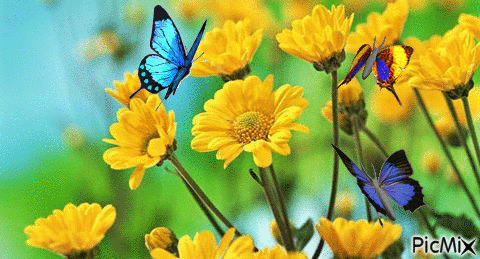 Yellow flowers - Gratis animeret GIF