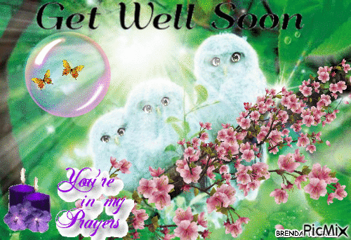 GET WELL SOON OWLS - Free animated GIF