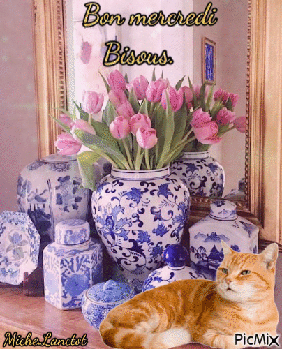 fleurs et chat - GIF animé gratuit