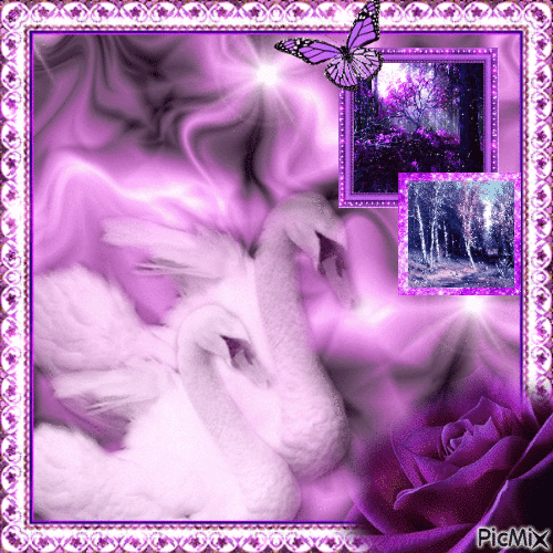 purple swan - Darmowy animowany GIF