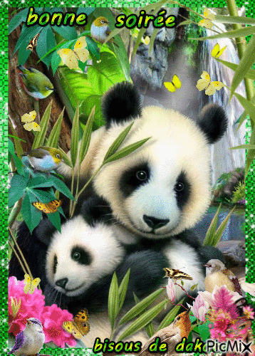 pandas - GIF animasi gratis