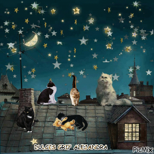noche - 無料のアニメーション GIF