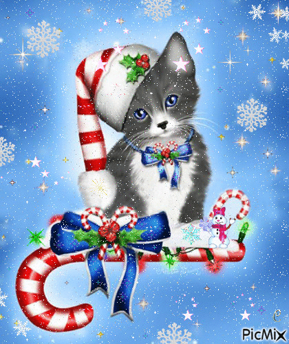 Christmas Kitten - GIF animé gratuit