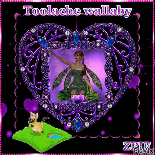 Toolache wallaby - Ingyenes animált GIF