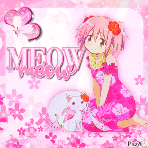 meow meow - Δωρεάν κινούμενο GIF