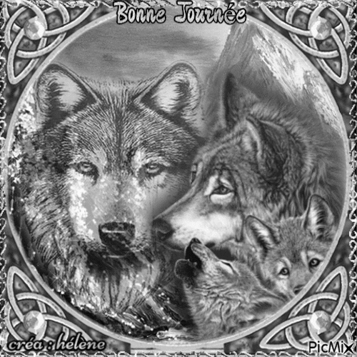 " Loups - Art dans les tons gris " - 無料のアニメーション GIF